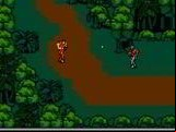 Snake's Revenge