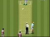 Super International Cricket