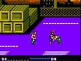 Double Dragon II - The Revenge