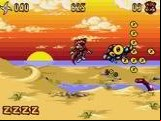 Zero the Kamikaze Squirrel