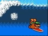Town & Country Surf Designs - Wood & Water Rage