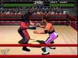 WWF - War Zone