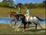 Let's Ride! - Friends Forever