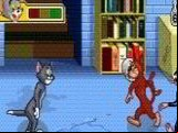 Tom & Jerry