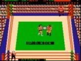 Tag Team Wrestling