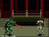 Fighting Masters