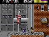 Ninja Gaiden Trilogy