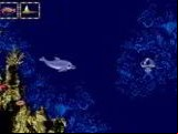 Ecco Jr.