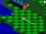Snake Rattle n Roll