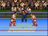 Natsume Championship Wrestling
