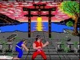 International Karate Plus