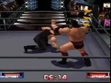WCW-nWo Revenge