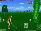 The Irem Skins Game