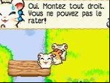 Hamtaro - Rainbow Rescue