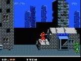 Ninja Crusaders