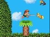 Super Adventure Island II