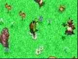 Over the Hedge