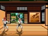 Budokan - The Martial Spirit