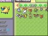 Pokemon Ruby Destiny - Life of Guardians