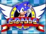 Sonic 1 With Fries