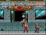 Double Dragon 3: The Rosetta Stone