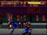 Double Dragon V: The Shadow Falls
