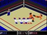Fire Pro Wrestling Gaiden