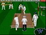 Brian Lara Cricket 96