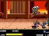 Mazin Saga