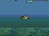 Bass Masters Classics