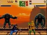 Shaq Fu