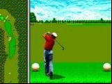 Arnold Palmer Tournament Golf