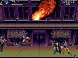 Adventures of Batman and Robin