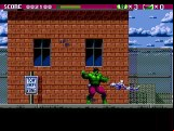 The Incredible Hulk