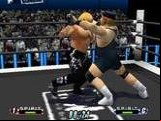 Virtual Pro Wrestling 64