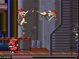 Ninja Warriors