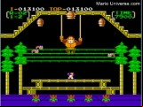 Donkey Kong 3