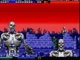 Terminator 2 -  The Arcade Game