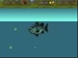 Bass Masters Classic