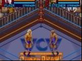 WCW Super Brawl