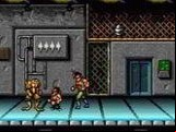 Battletoads and Double Dragon - The Ultimate Team