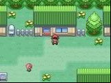 Pokemon Liquid Ocean