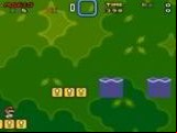 Crazy Mario World