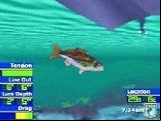 Bassmasters 2000