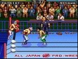 Zennihon Pro Wrestling