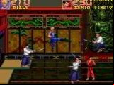 Double Dragon 3 - The Rosetta Stone