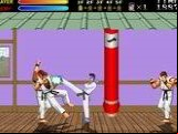 Kung-Fu Master