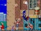 Ninja Gaiden - Shadow Warriors
