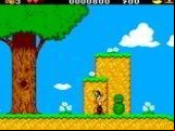 Asterix And The Secret Mission