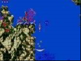 Ecco the Dolphin